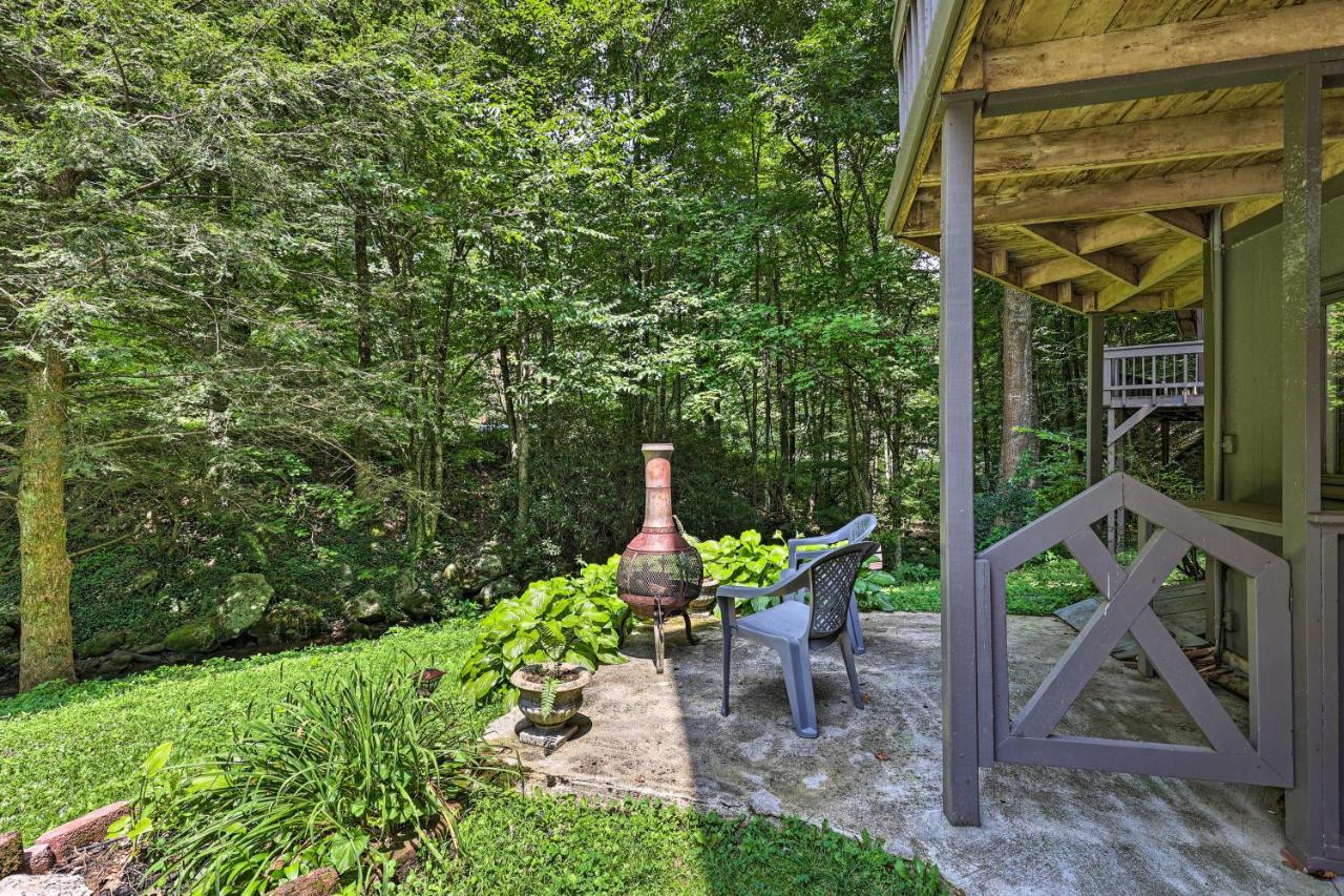 Creekside Roan Mountain Cabin Walk To Trails Eksteriør bilde