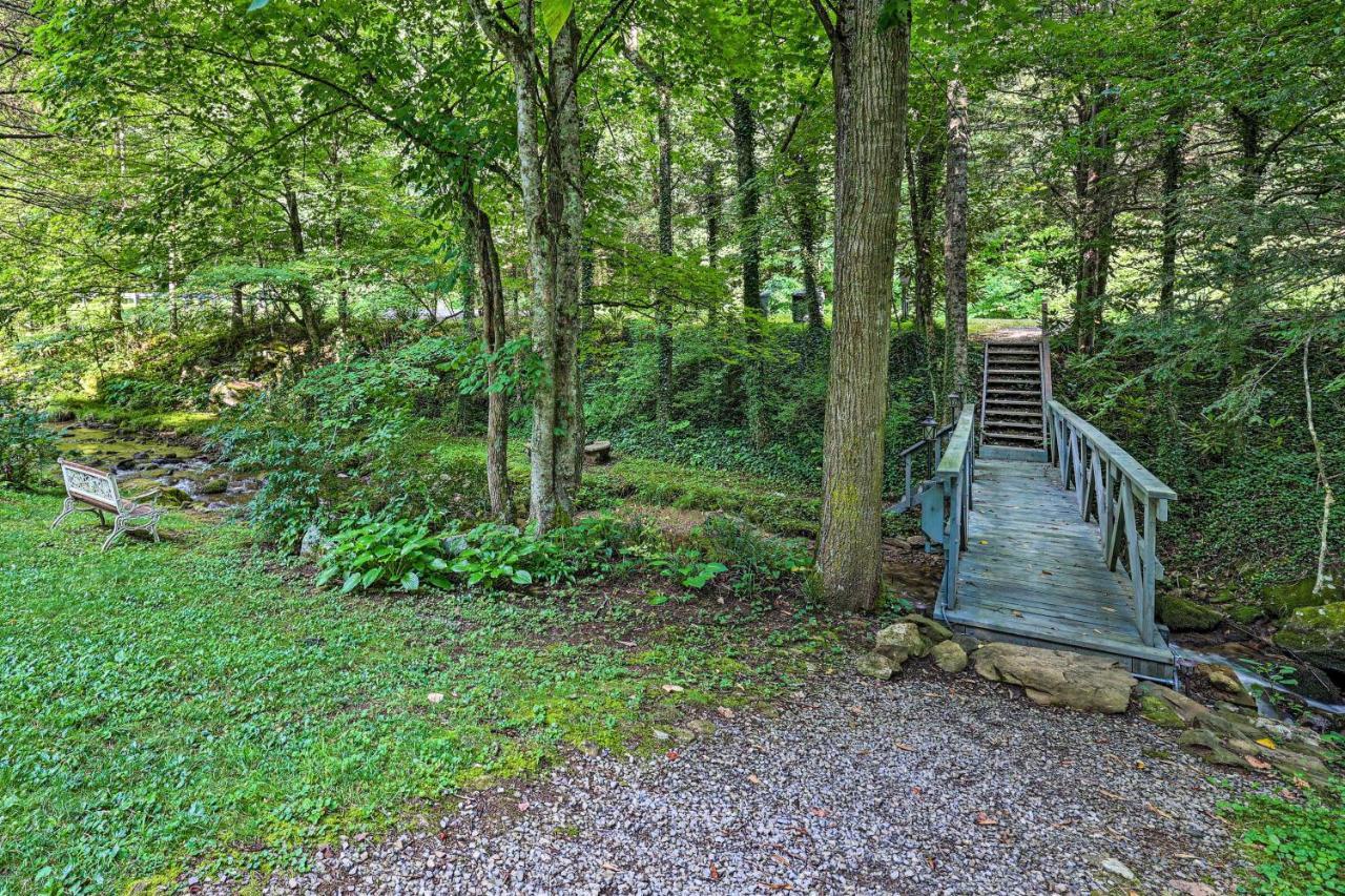 Creekside Roan Mountain Cabin Walk To Trails Eksteriør bilde