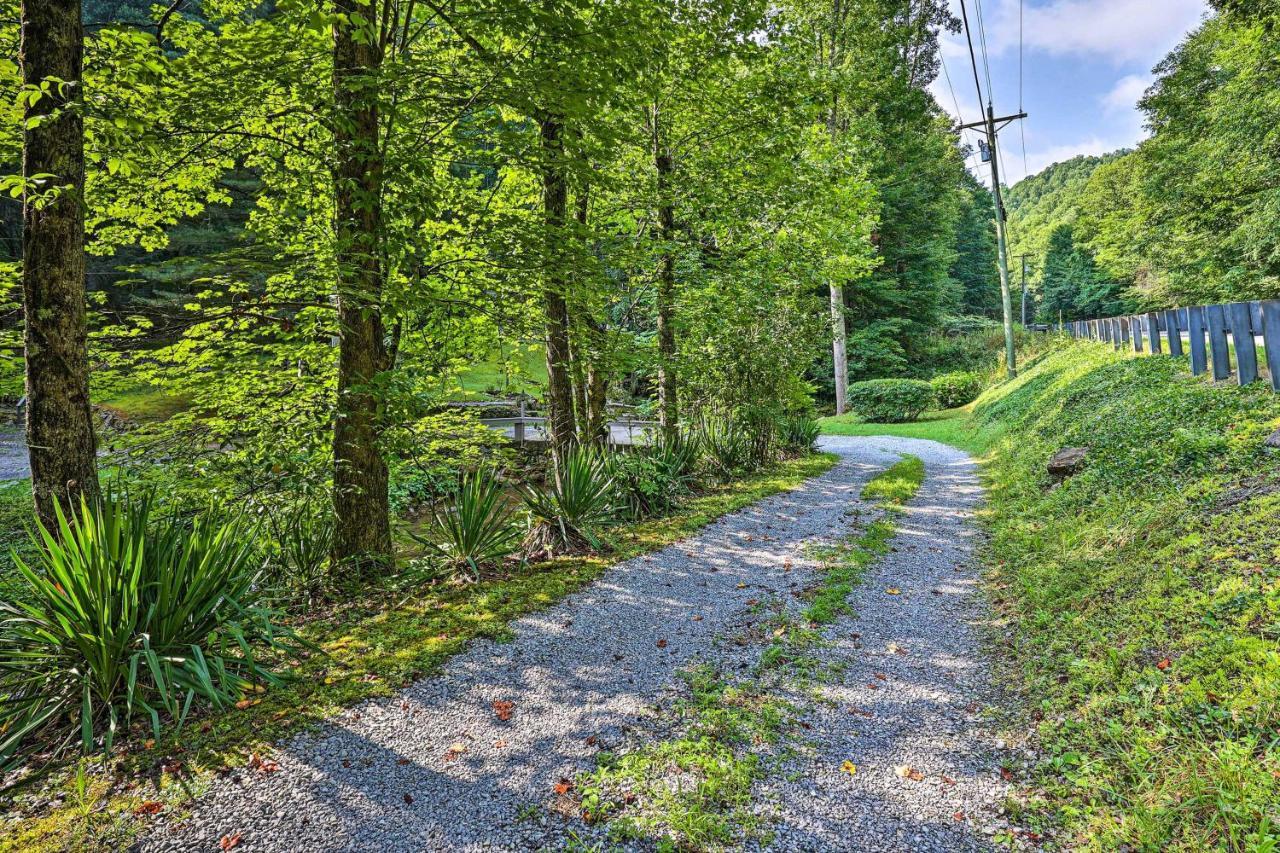 Creekside Roan Mountain Cabin Walk To Trails Eksteriør bilde