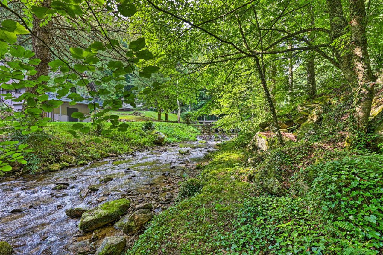 Creekside Roan Mountain Cabin Walk To Trails Eksteriør bilde
